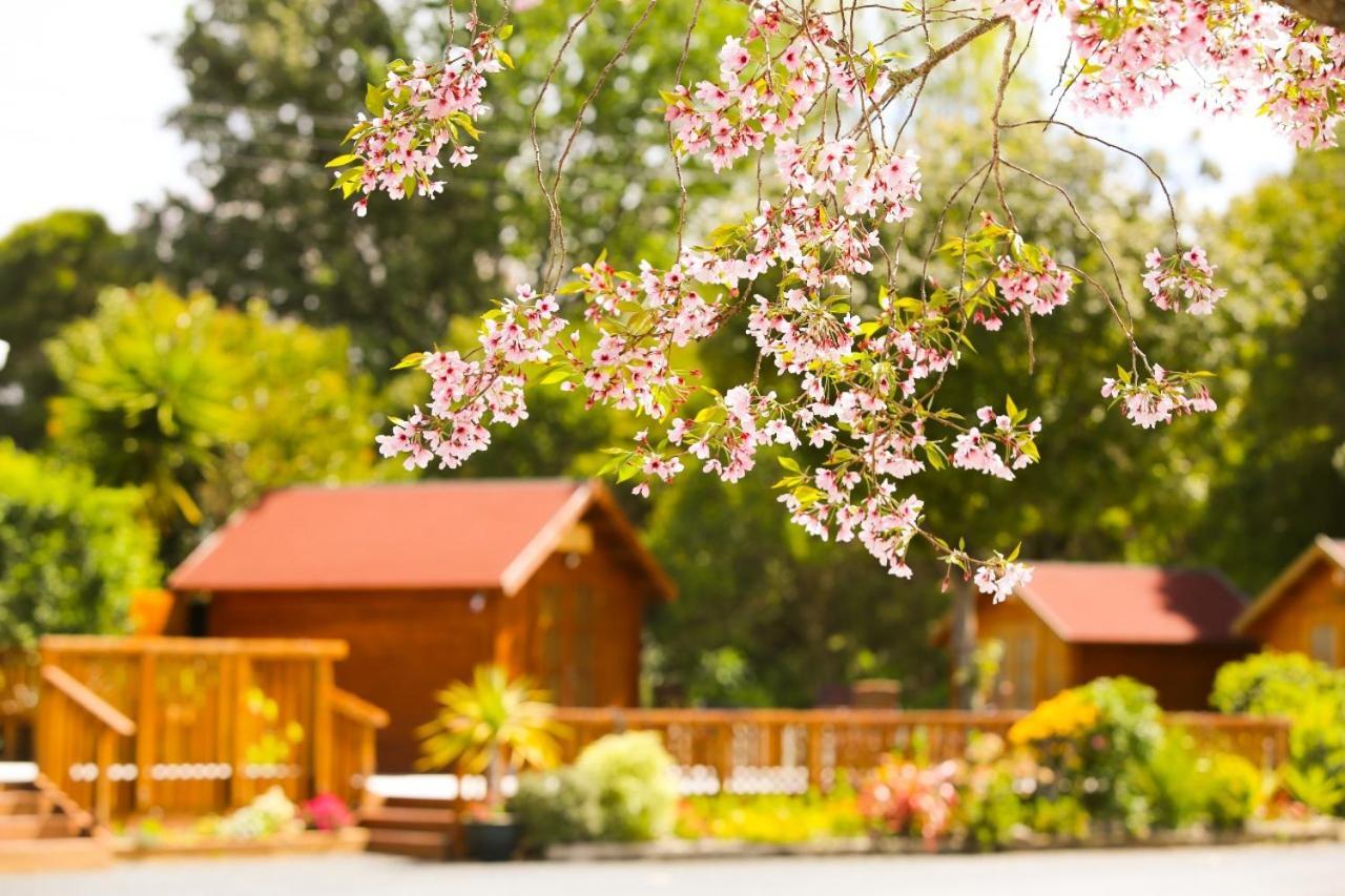 Orere Point Top 10 Holiday Park Auckland Ngoại thất bức ảnh